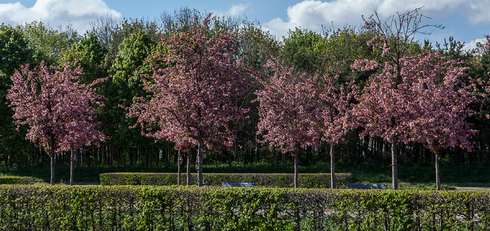 Riemer Park (Landschaftspark Riem, BUGA-Park) München